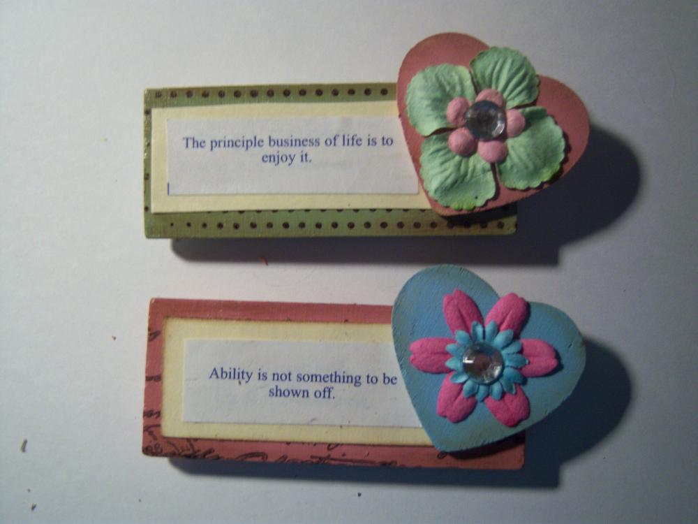 Set Of Two Magnets